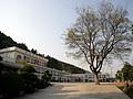 영천초등학교 전경 썸네일 이미지