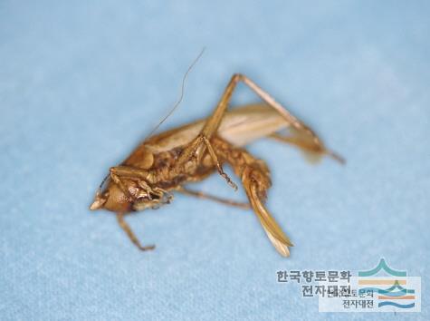 대표시청각 이미지