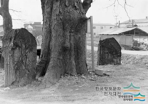 대표시청각 이미지