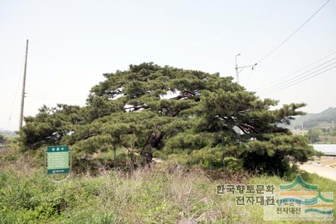 대표시청각 이미지