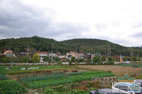 대표시청각 이미지