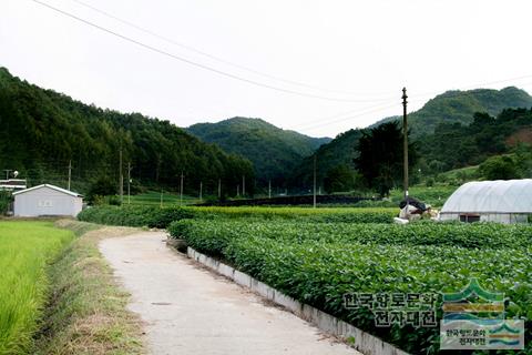 대표시청각 이미지