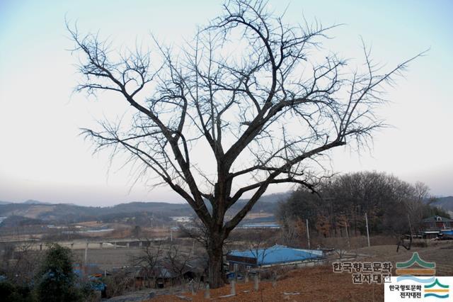 대표시청각 이미지