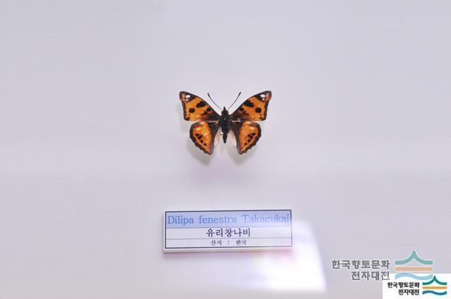 대표시청각 이미지