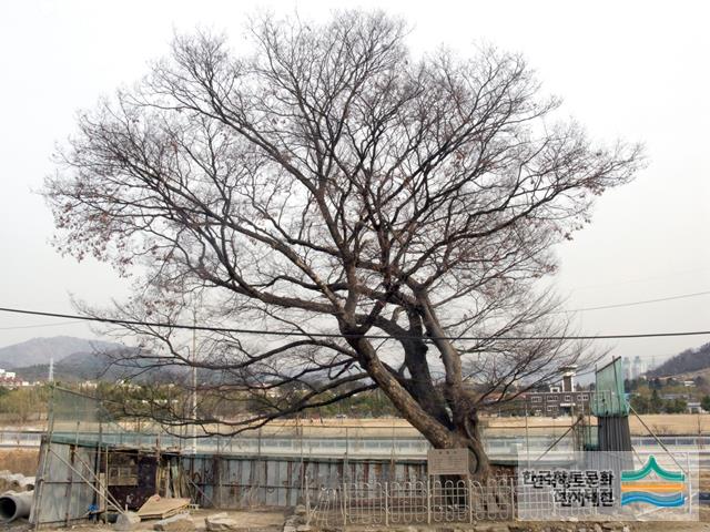 대표시청각 이미지