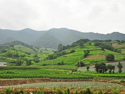 매두막산 썸네일 이미지