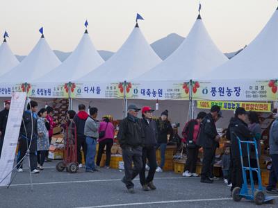 제12회 악양 대봉감 축제 대봉감 직거래 시장 썸네일 이미지