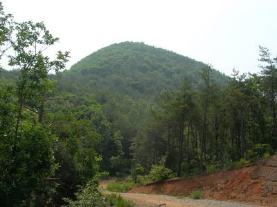 정개산성 썸네일 이미지