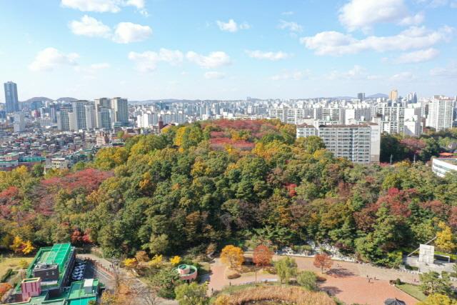 대표시청각 이미지