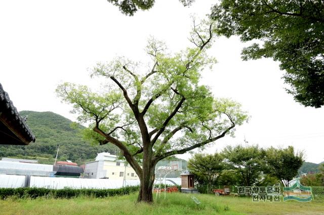 대표시청각 이미지